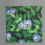 Ternatea Flower Napkin (Set Of 6)