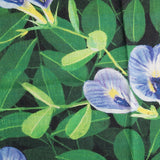 Ternatea Flower Napkin (Set Of 6)