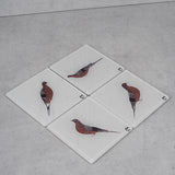 Renuka Bird 5 Coaster