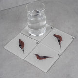 Renuka Bird 5 Coaster